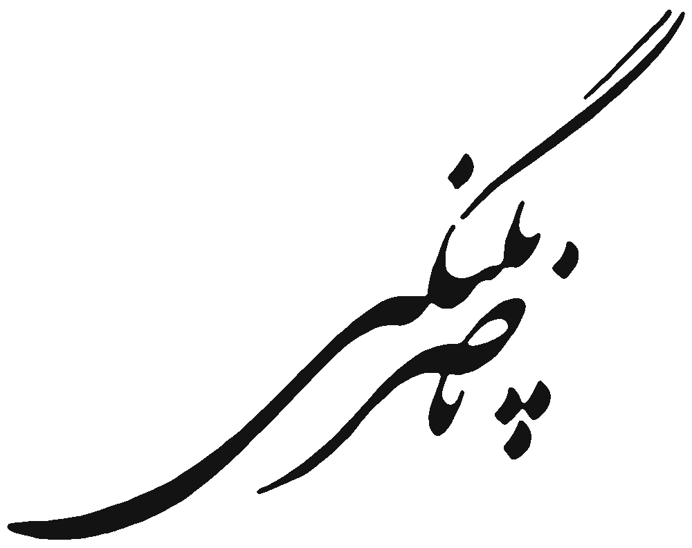 Nasser-Palangi-Signature